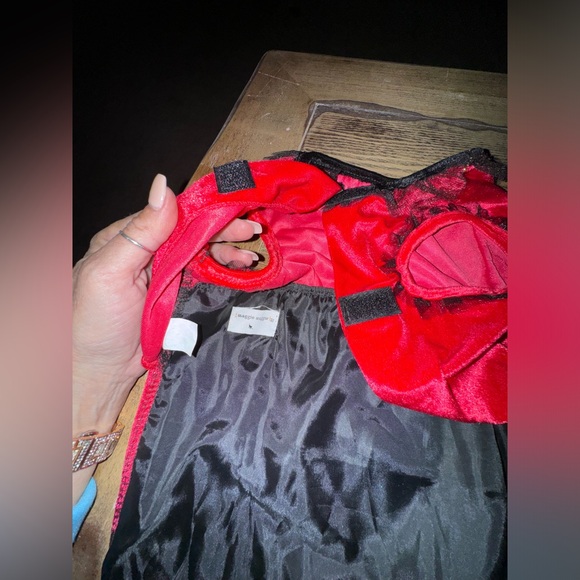 Lady bug Dog costume- size M - Picture 6 of 16